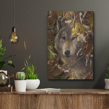 Luxe Metal Art 'Autumn Shadows' by Collin Bogle, Metal Wall Art,12x16