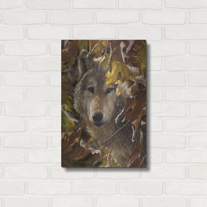 Luxe Metal Art 'Autumn Shadows' by Collin Bogle, Metal Wall Art,16x24