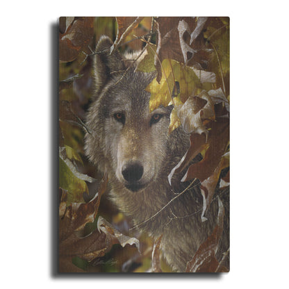 Luxe Metal Art 'Autumn Shadows' by Collin Bogle, Metal Wall Art