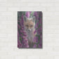 Luxe Metal Art 'Fox Gloves' by Collin Bogle, Metal Wall Art,16x24