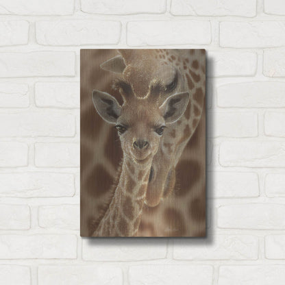 Luxe Metal Art 'New Born' by Collin Bogle, Metal Wall Art,12x16