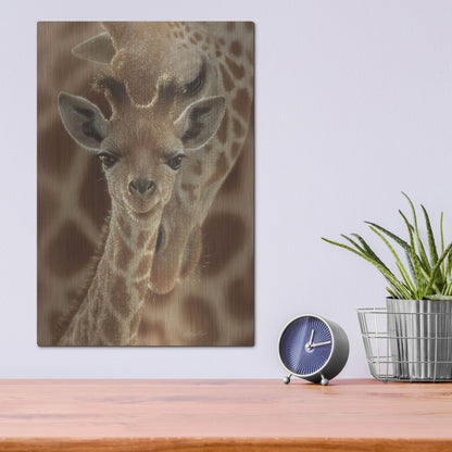 Luxe Metal Art 'New Born' by Collin Bogle, Metal Wall Art,12x16