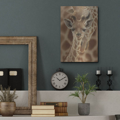Luxe Metal Art 'New Born' by Collin Bogle, Metal Wall Art,12x16