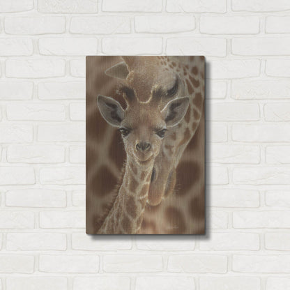 Luxe Metal Art 'New Born' by Collin Bogle, Metal Wall Art,16x24