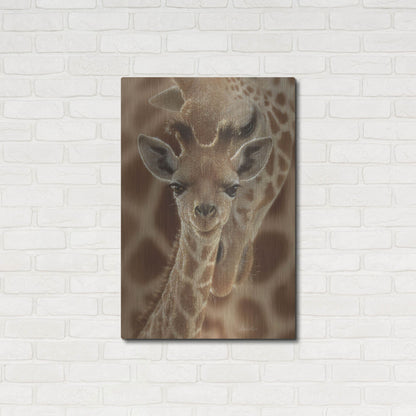 Luxe Metal Art 'New Born' by Collin Bogle, Metal Wall Art,24x36