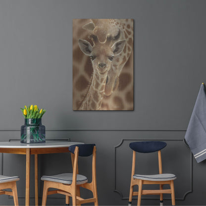 Luxe Metal Art 'New Born' by Collin Bogle, Metal Wall Art,24x36