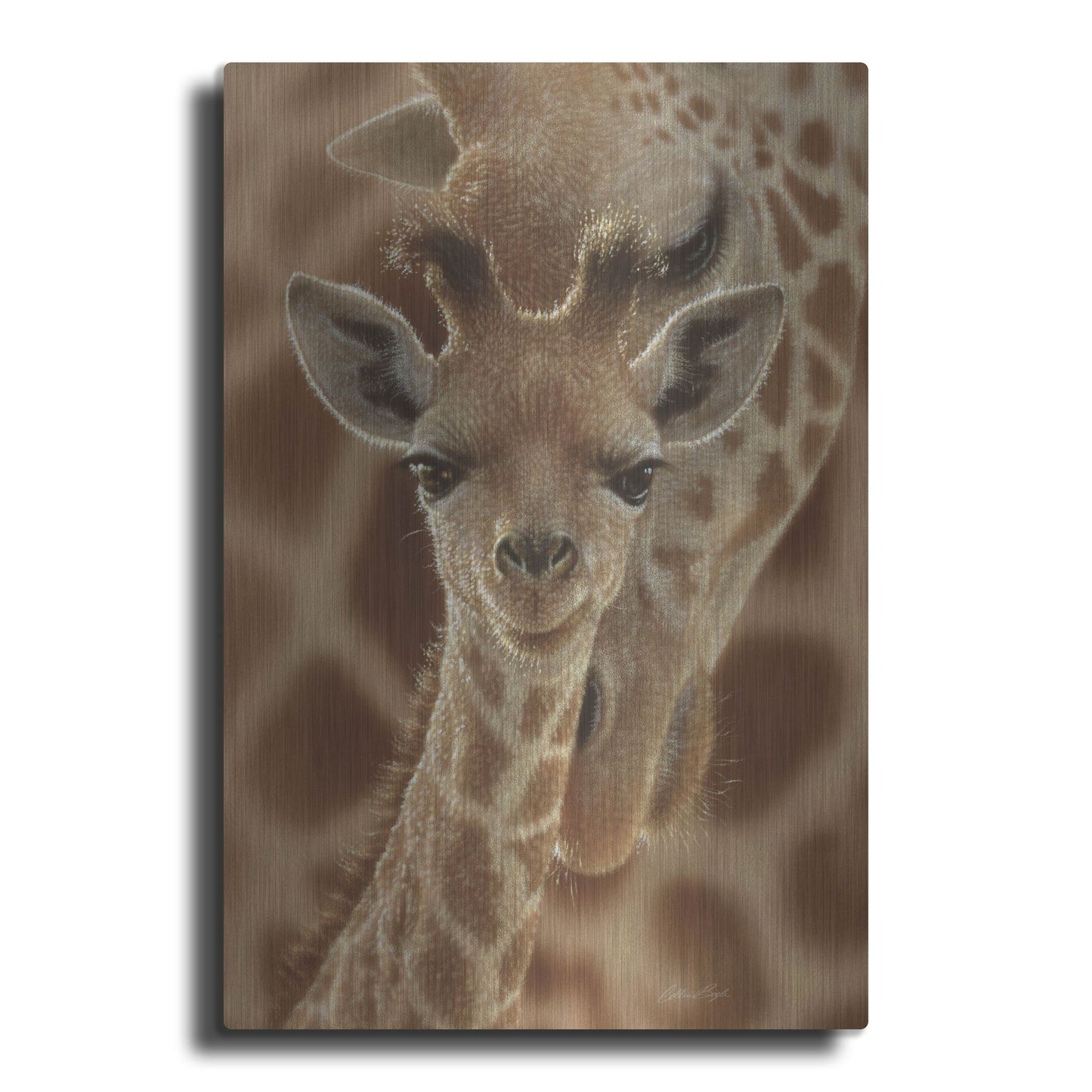 Luxe Metal Art 'New Born' by Collin Bogle, Metal Wall Art