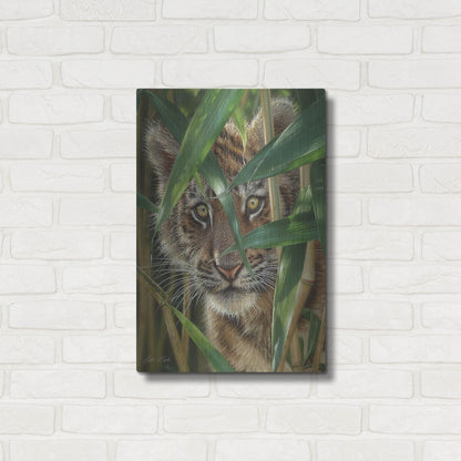 Luxe Metal Art 'Peekaboo' by Collin Bogle, Metal Wall Art,16x24