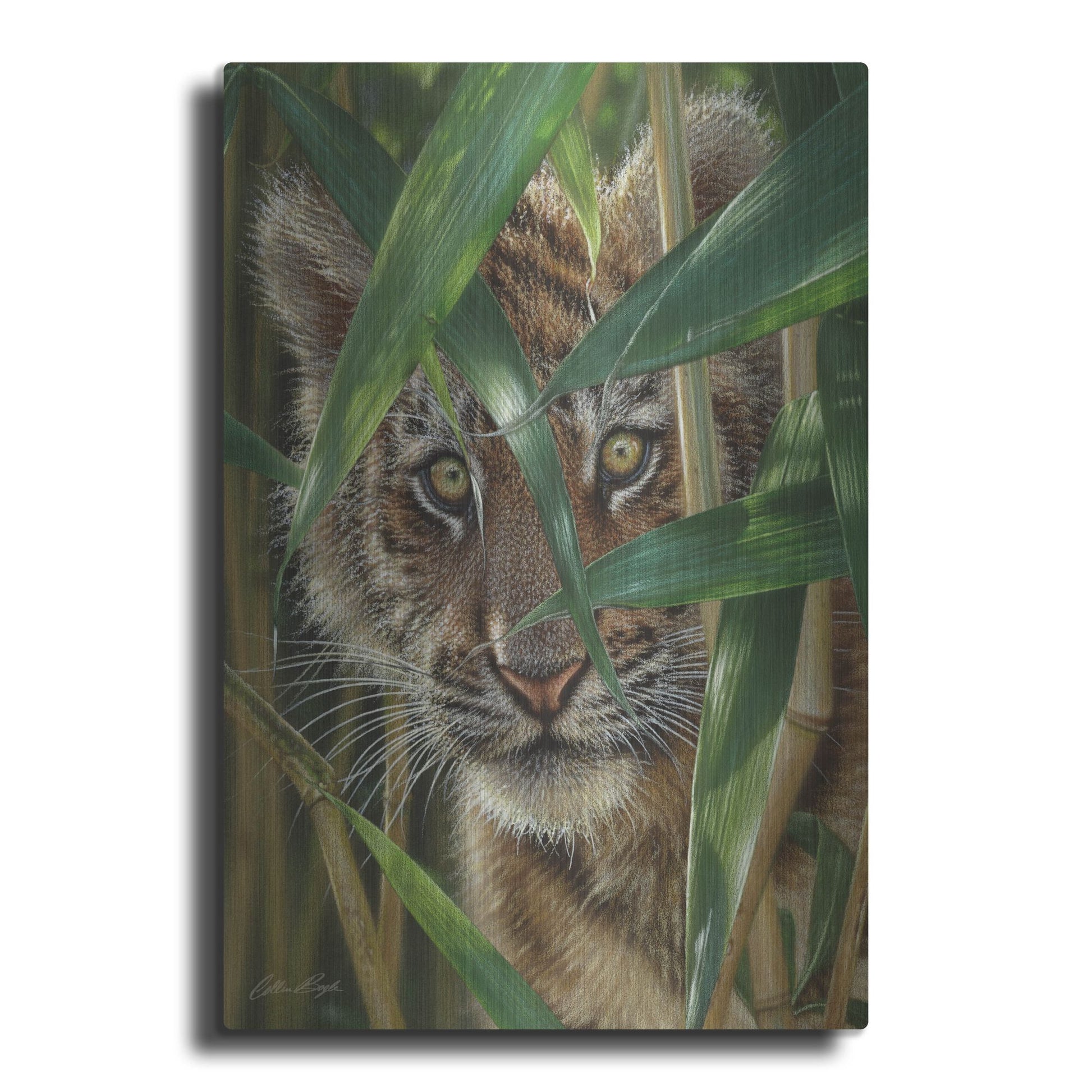 Luxe Metal Art 'Peekaboo' by Collin Bogle, Metal Wall Art