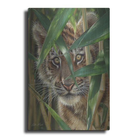 Luxe Metal Art 'Peekaboo' by Collin Bogle, Metal Wall Art