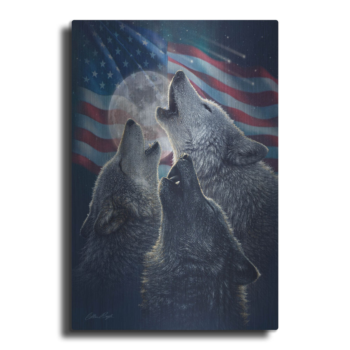 Luxe Metal Art 'Wolf Trinity Patriotic' by Collin Bogle, Metal Wall Art