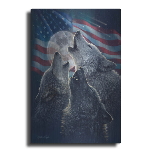 Luxe Metal Art 'Wolf Trinity Patriotic' by Collin Bogle, Metal Wall Art