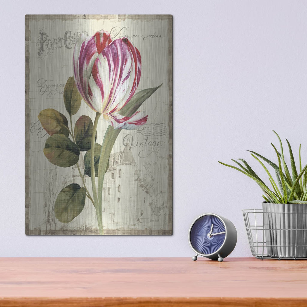 'Garden View II' by Lisa Audit – Metal Wall Art, 12x16 room view