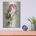 'Garden View II' by Lisa Audit – Metal Wall Art, 12x16 room view