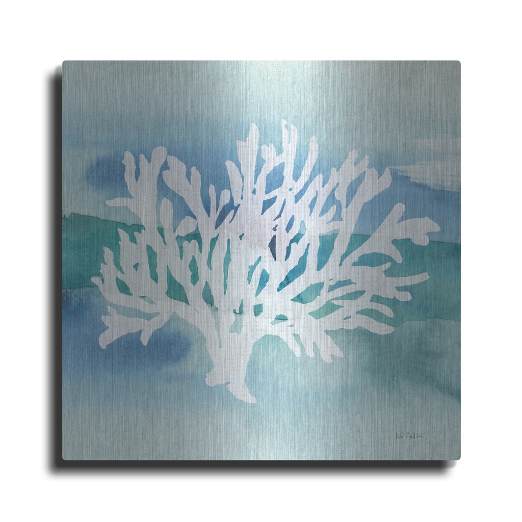 'Sea Life Coral II' by Lisa Audit – Metal Wall Art