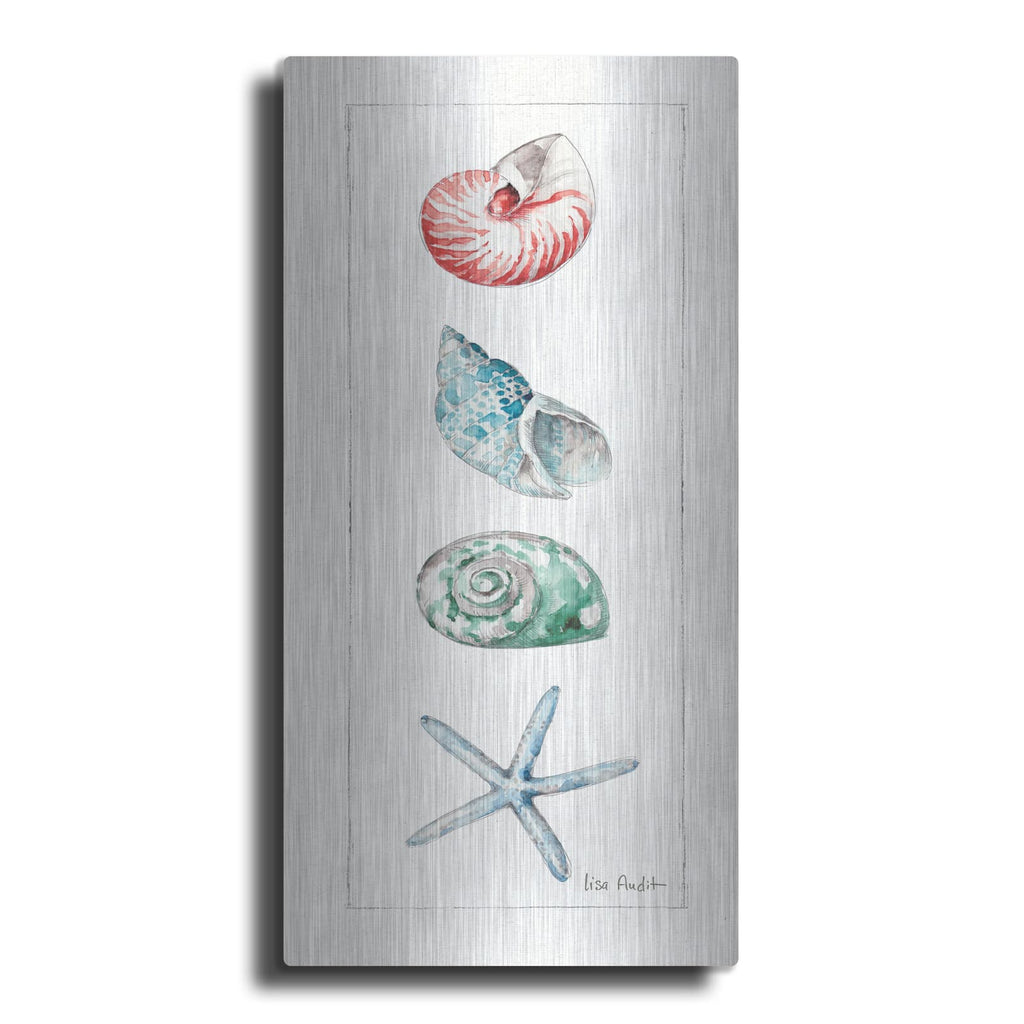 'Sea Finds IV' by Lisa Audit – Metal Wall Art