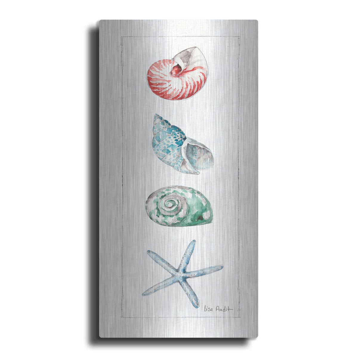 'Sea Finds IV' by Lisa Audit – Metal Wall Art