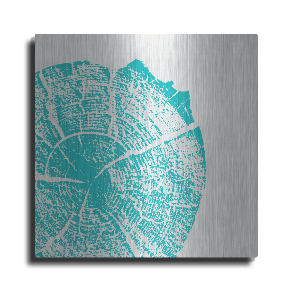 'Aqua Slice' by Linda Woods – Metal Wall Art