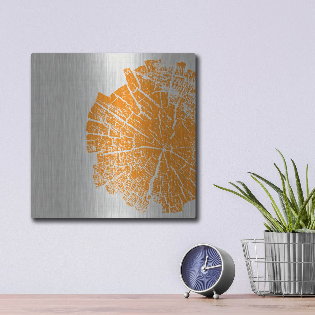 'Orange Slice' by Linda Woods – Metal Wall Art, 12x12 room view