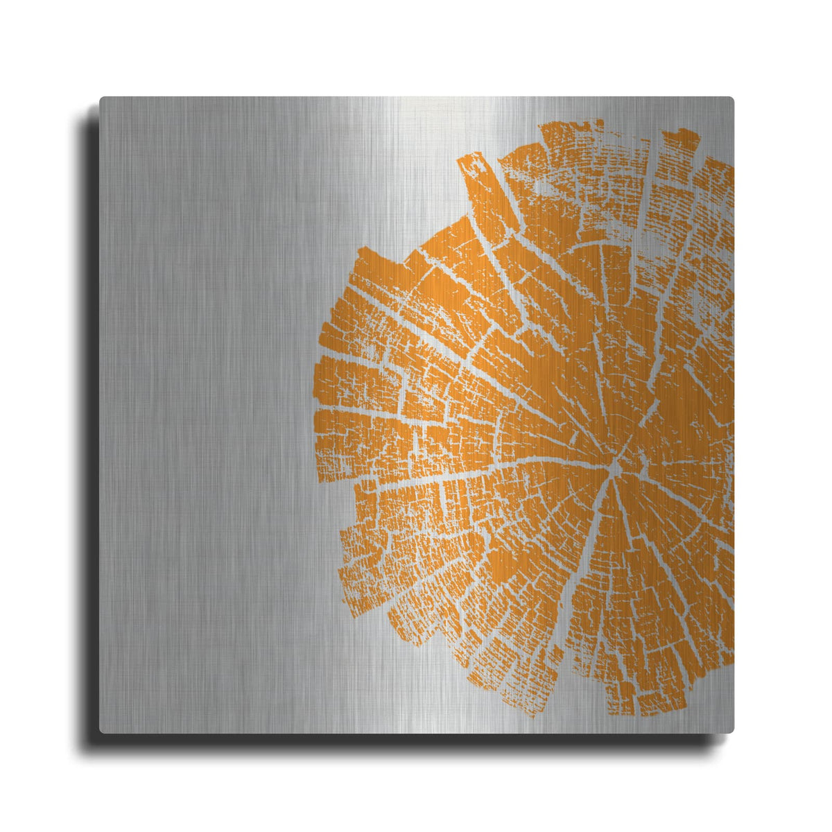 'Orange Slice' by Linda Woods – Metal Wall Art