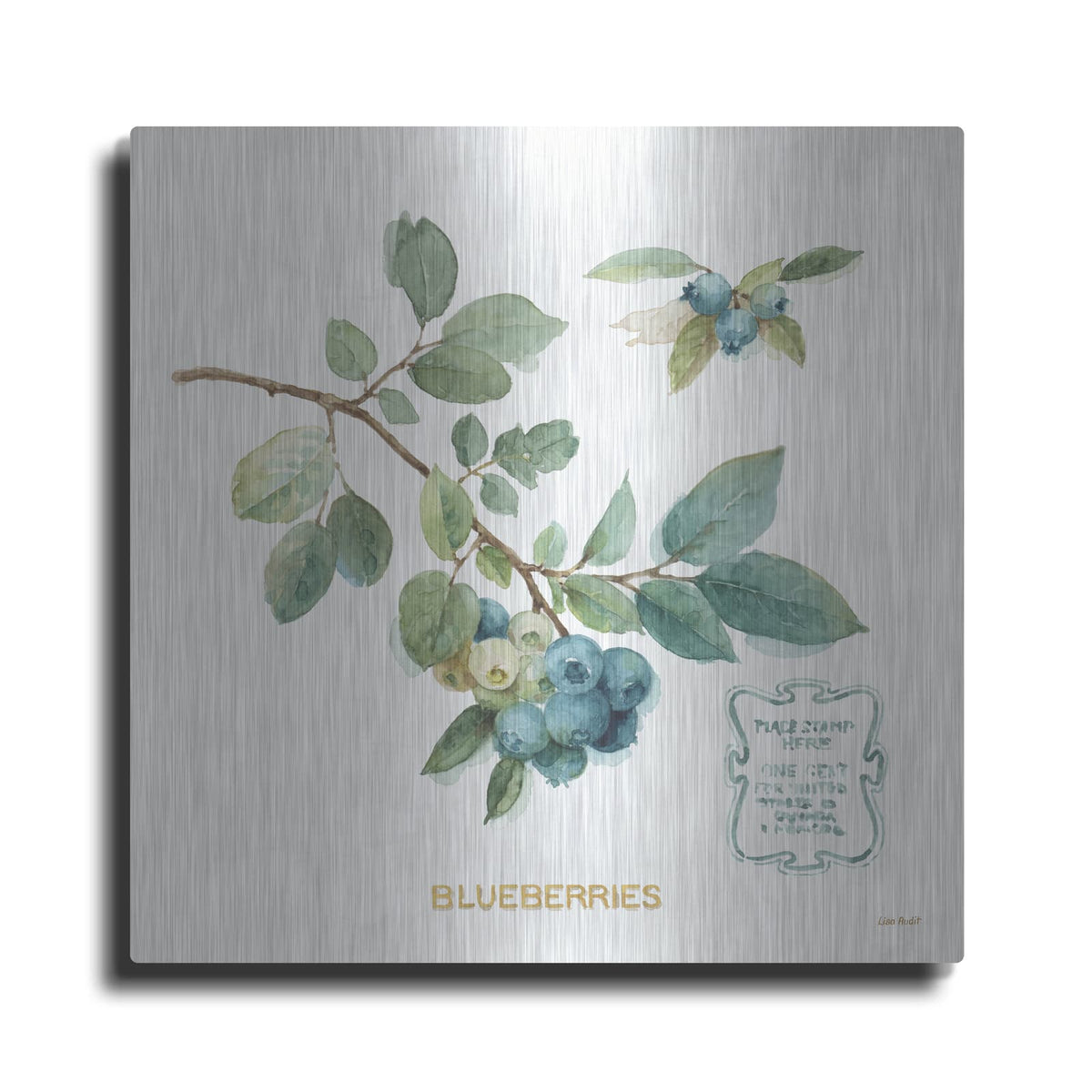 'My Greenhouse Fruit II' by Lisa Audit – Metal Wall Art