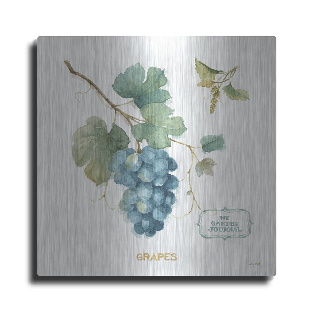 'My Greenhouse Fruit III' by Lisa Audit – Metal Wall Art