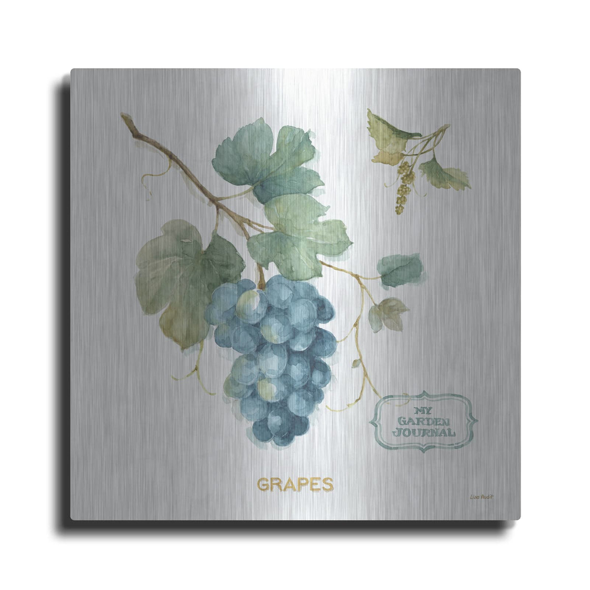 'My Greenhouse Fruit III' by Lisa Audit – Metal Wall Art