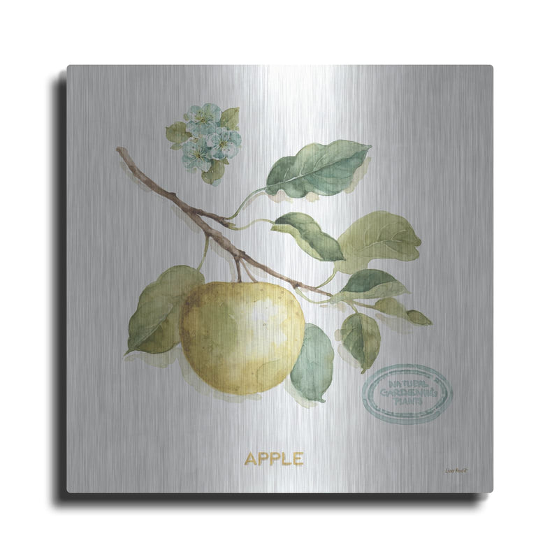 'My Greenhouse Fruit IV' by Lisa Audit – Metal Wall Art
