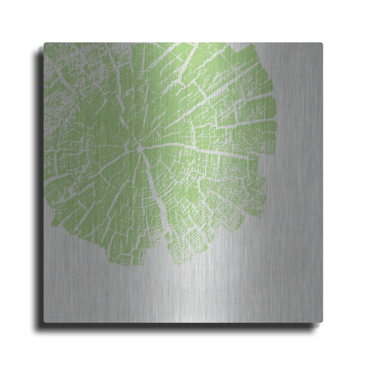 'Lime Slice' by Linda Woods – Metal Wall Art