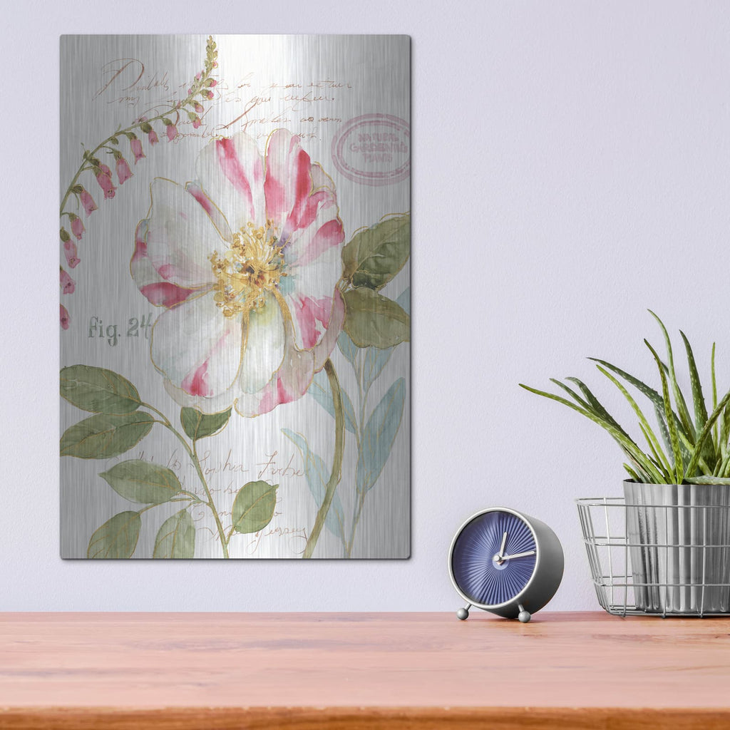 'Rainbow Seeds Botanical II' by Lisa Audit – Metal Wall Art, 12x16 room view