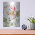 'Rainbow Seeds Botanical II' by Lisa Audit – Metal Wall Art, 12x16 room view