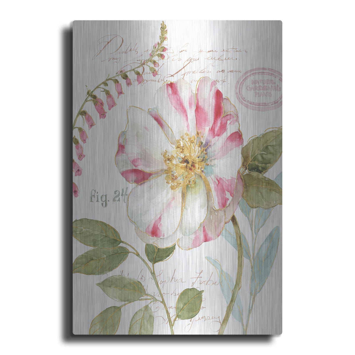 'Rainbow Seeds Botanical II' by Lisa Audit – Metal Wall Art