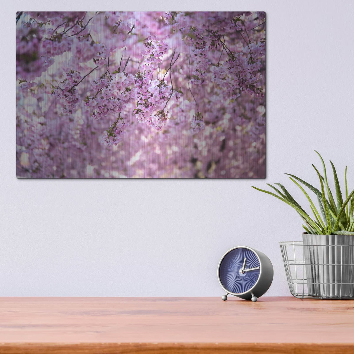 'Cherry Blossom Flowers' by Nicklas Gustafsson – Metal Wall Art, 16x12 room view