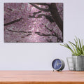 'Cherry Blossom Trees' by Nicklas Gustafsson – Metal Wall Art, 16x12 room view
