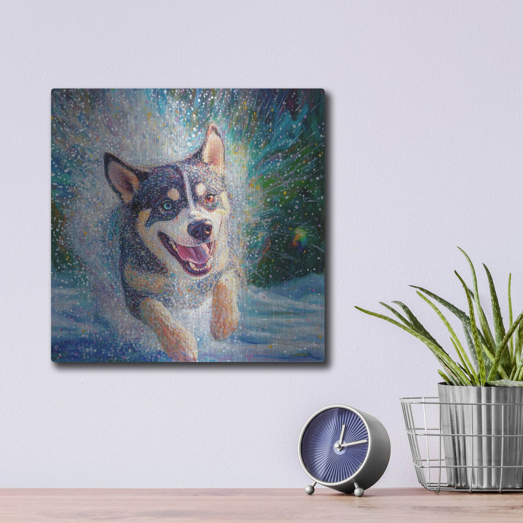 'Siberian Husky Puddle Fun' by Rich Monet Metal Wall Art