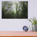 'Clodud Forest' by Nicklas Gustafsson – Metal Wall Art, 16x12 room view