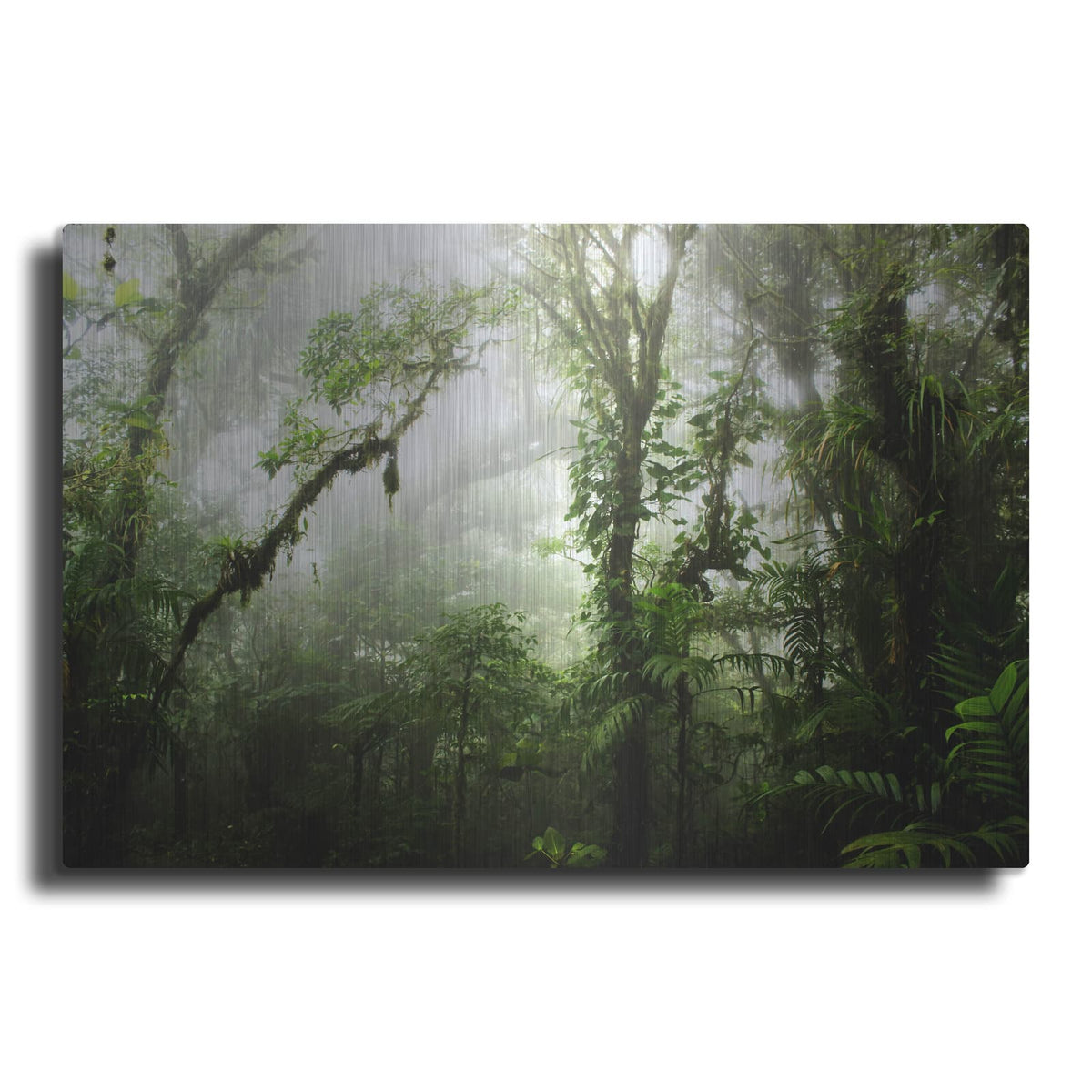 'Clodud Forest' by Nicklas Gustafsson – Metal Wall Art