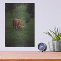 'Grazing Highlander' by Nicklas Gustafsson – Metal Wall Art, 12x16 room view