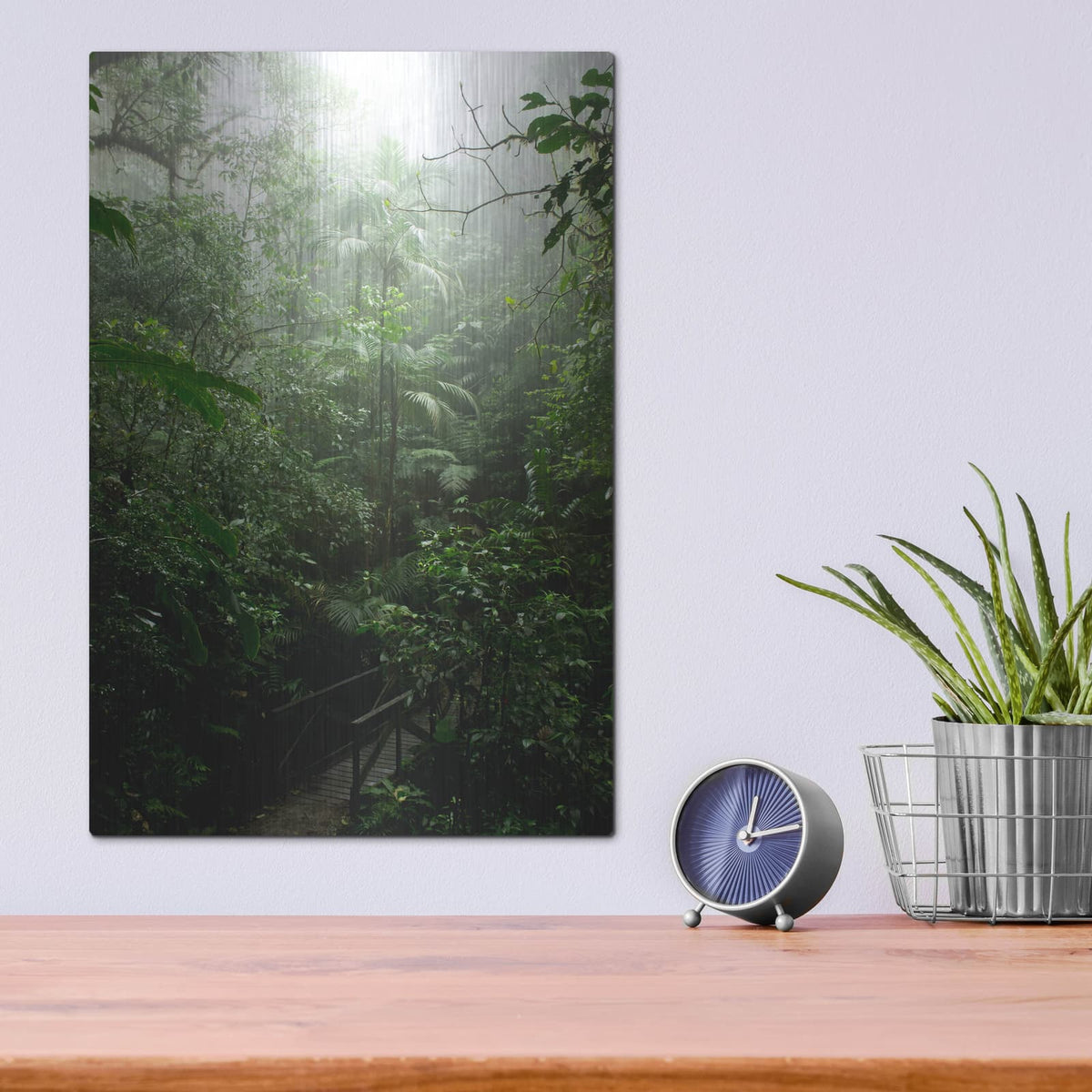 'Into The Cloud Forest' by Nicklas Gustafsson – Metal Wall Art, 12x16 room view