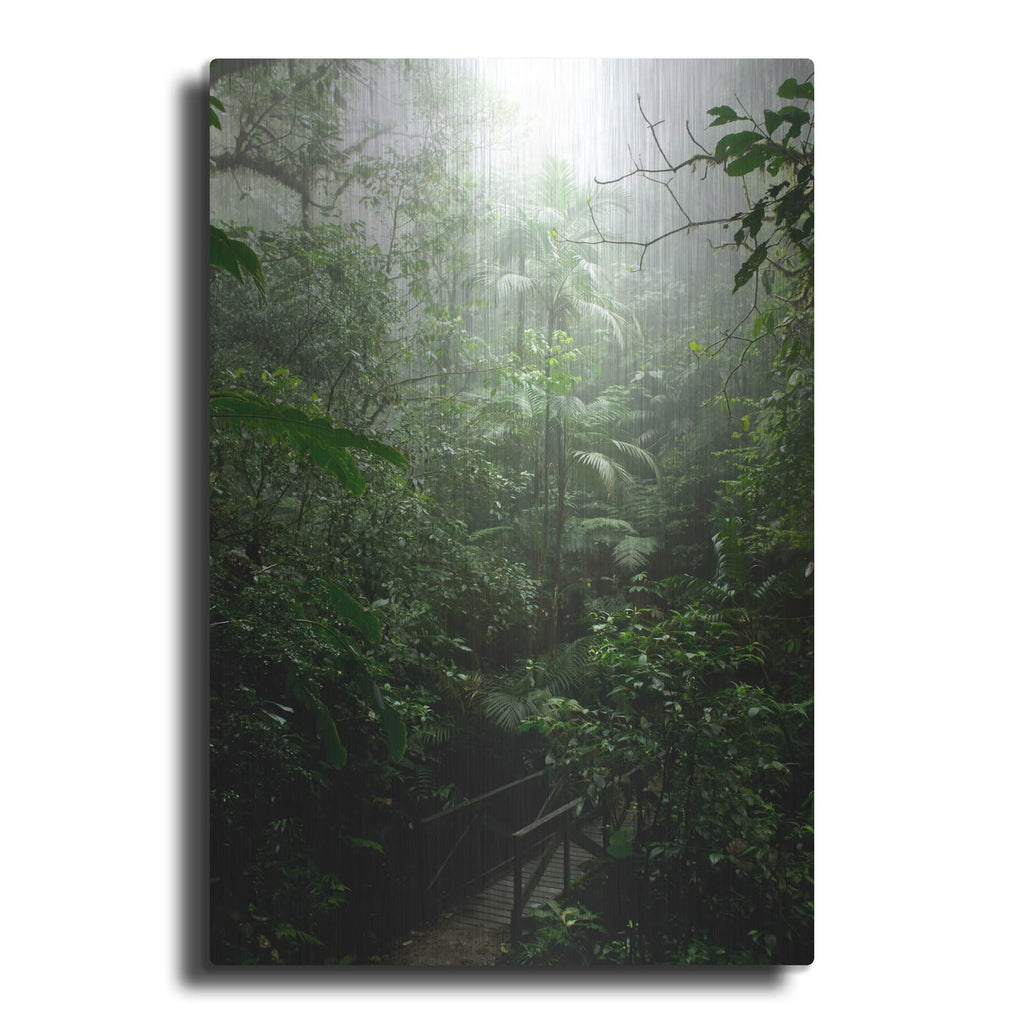 'Into The Cloud Forest' by Nicklas Gustafsson – Metal Wall Art