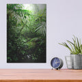 'Misty Rainforest Creek' by Nicklas Gustafsson – Metal Wall Art, 12x16 room view