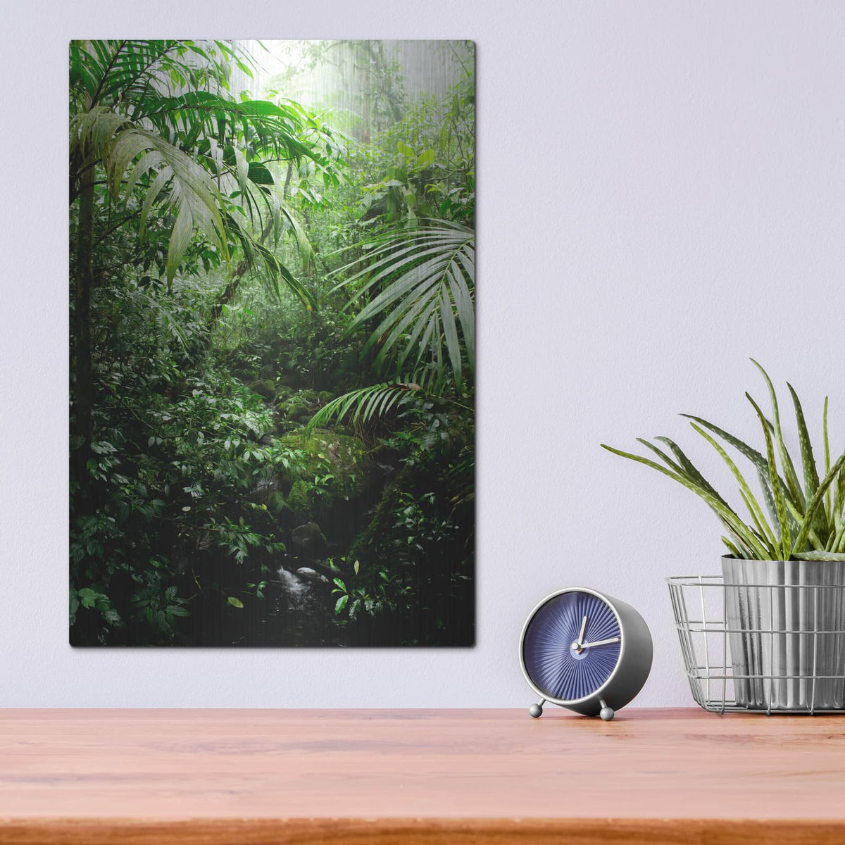 'Misty Rainforest Creek' by Nicklas Gustafsson – Metal Wall Art, 12x16 room view
