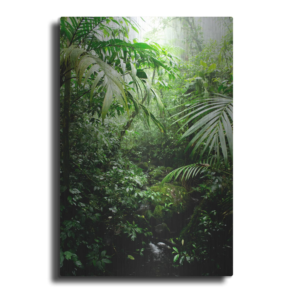 'Misty Rainforest Creek' by Nicklas Gustafsson – Metal Wall Art