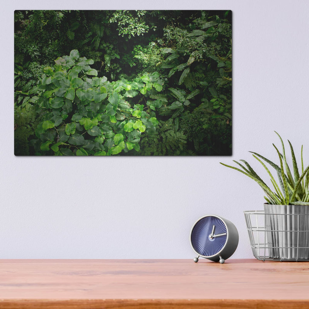 'Rainforest Canopy' by Nicklas Gustafsson – Metal Wall Art, 16x12 room view