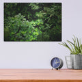 'Rainforest Canopy' by Nicklas Gustafsson – Metal Wall Art, 16x12 room view