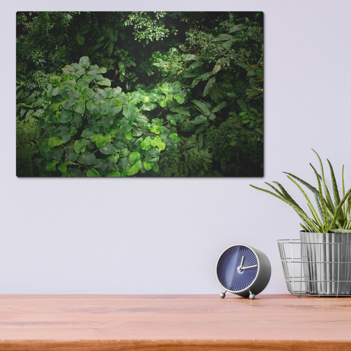 'Rainforest Canopy' by Nicklas Gustafsson – Metal Wall Art, 16x12 room view
