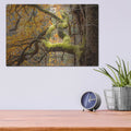 'Reaching Autumn Branch' by Nicklas Gustafsson – Metal Wall Art, 16x12 room view