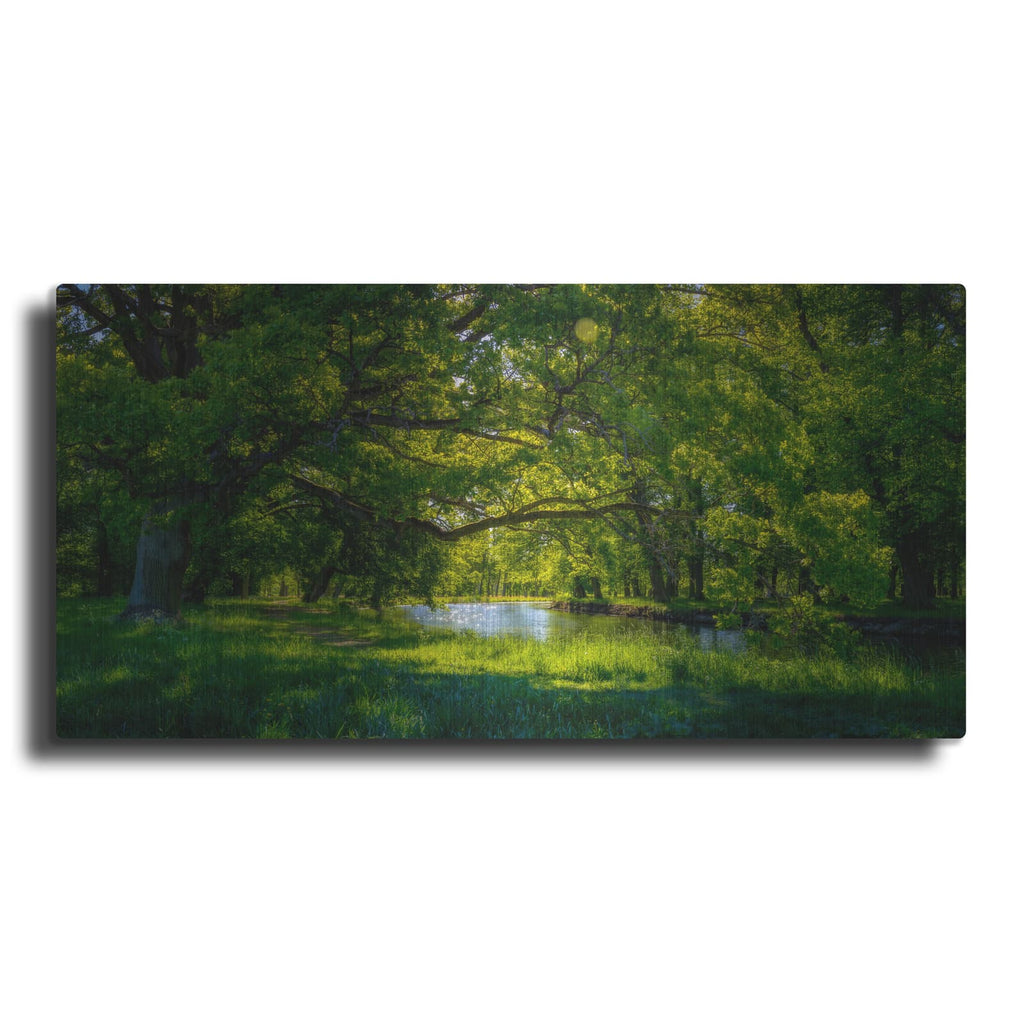 'Summer Morning In The Park' by Nicklas Gustafsson – Metal Wall Art