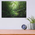 'Warm Glow Rainforest Creek' by Nicklas Gustafsson – Metal Wall Art, 16x12 room view