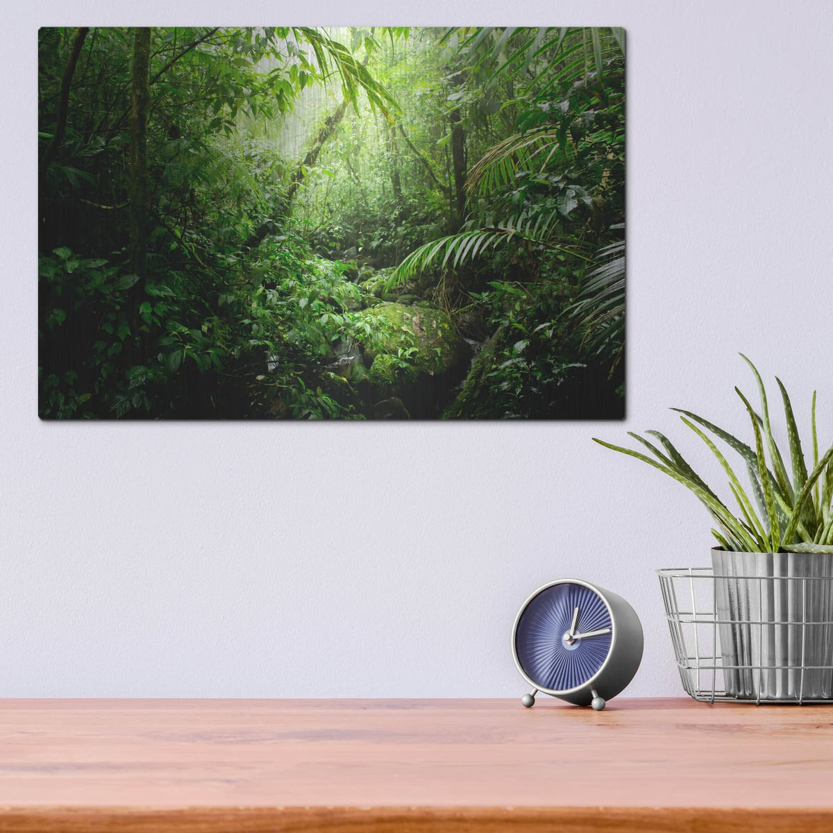 'Warm Glow Rainforest Creek' by Nicklas Gustafsson – Metal Wall Art, 16x12 room view